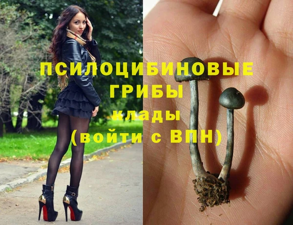 мяу мяу мука Алексеевка