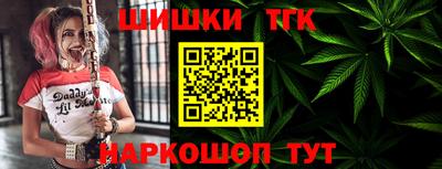МДПВ Славгород