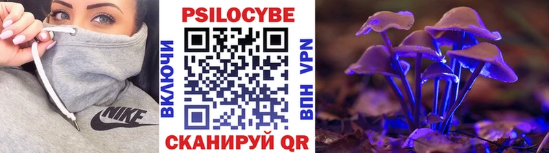 Псилоцибиновые грибы мухоморы  купить  сайты  Электрогорск 